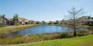 11031 Yellow Poplar Dr Gallery 16
