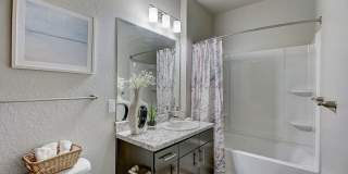 Springs At Port Charlotte Gallery 10