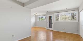 521 Epsom Road - 2C Gallery 4