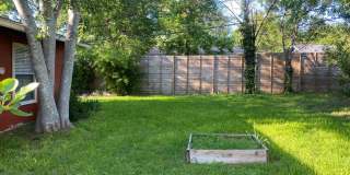 Charming South Austin Classic Gallery 16