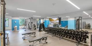 119 Wood Road unit: 107 Gallery 43