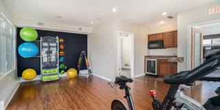 Corinth Paddock Gallery 27
