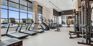 The Deveraux Gallery 16