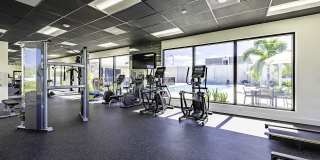 Solina Old Cutler Apartments Gallery 8