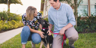 Springs at Gulf Coast Gallery 24