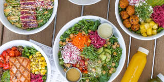 Flamingo Point Gallery 39