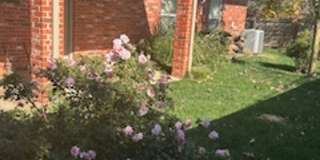 Charming 3 Bed, 2 Bath Home for Rent in Norman! Gallery 11