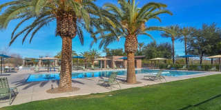 Spacious 3 Bedroom home in Vistancia Gallery 45