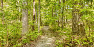 Hibernia Apartments Gallery 12