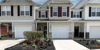 4905 Vireo Drive Gallery 1