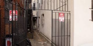 2008 CHESTNUT Street Gallery 11