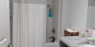 4848 Shelby Place Gallery 14