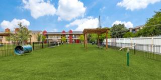 North Star Gallery 5