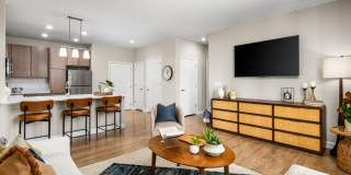 The Canopy Gallery 2