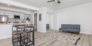 Park Lafayette Gallery 24
