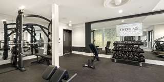 Indigo Stuart Gallery 24