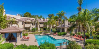 Fully Furnished Beautiful 2-bed, 2-bath PV Condo Gallery 17