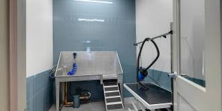 Traders Row Gallery 19