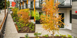 Janus Apartments Gallery 32