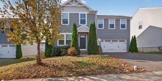 2012 CREPE MYRTLE Lane Gallery 1