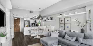 Pinnacle on the Park Gallery 2