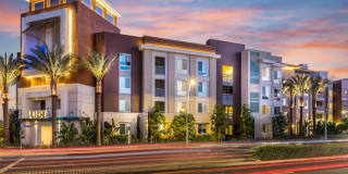 Luce Apartments Gallery 29