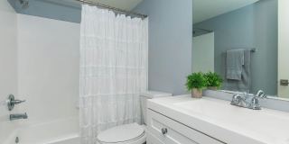 Bellevue Towers Gallery 66
