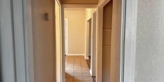 Remodeled 3 Bed 1 Bath in Kemp & Jackson! Gallery 12