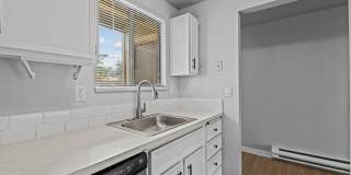 Shannon South Gallery 11