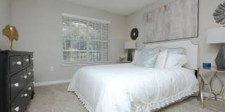 River Vista Gallery 11