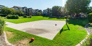 Hunter's Pointe Gallery 103