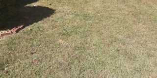 Riverdale Executive Home Gallery 14