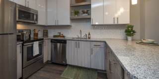 Mariner Grove Gallery 2