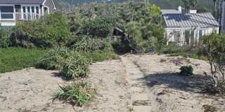 30838 Broad Beach Rd Gallery 21