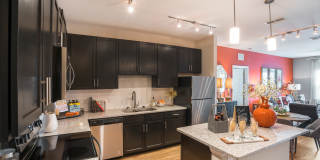 Palms at Magnolia Park Gallery 1