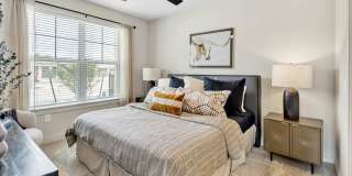 Trailwinds Grapevine Gallery 40