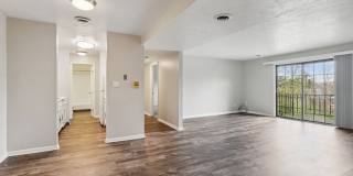 Williamsburg South Gallery 20