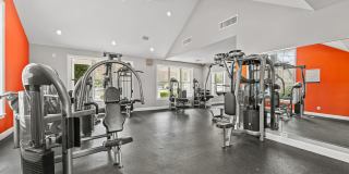 Avana Lexington Gallery 64