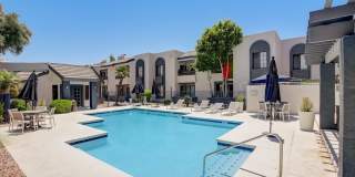 Rise on Cactus Gallery 110