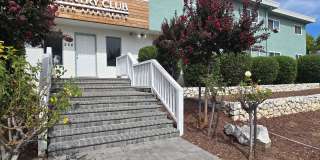 Spacious Downstairs Apartment, Fresh Paint, Quartz Counters, Stainless Steel Appliances, Pool, Parking! Gallery 1