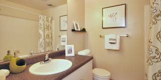 The Hamptons at Town Center Gallery 9