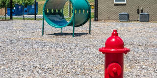 Cedar Ridge Gallery 32