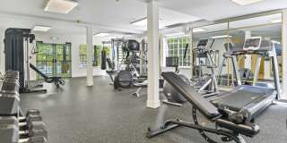 Lakemont Orchard Gallery 13