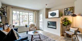 Vue Issaquah Gallery 3