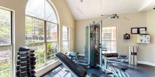 The Green at Chevy Chase Gallery 45