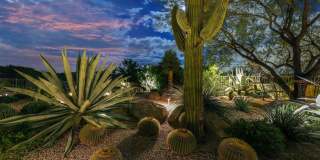 8193 E SAND FLOWER Drive Gallery 78