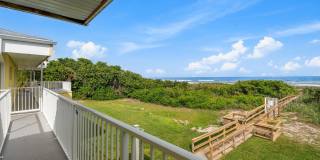 Dolphin Beach Gallery 22