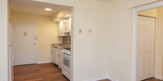 Chestnut Hill North Apartments Chestnut Hill North Apartments Gallery 21