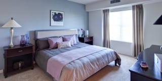 AMLI at Seven Bridges Gallery 27