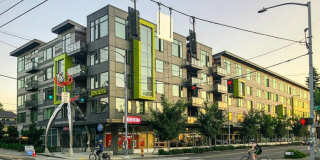 Janus Janus Gallery 22